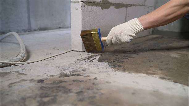 SJ Waterproofing Pros Waterproofing coverage map for Charlotte, MI and surrounding area